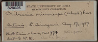 Image Associated With the Occurence